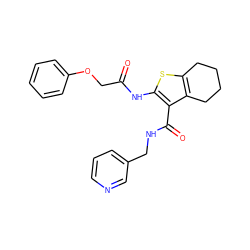 O=C(COc1ccccc1)Nc1sc2c(c1C(=O)NCc1cccnc1)CCCC2 ZINC000002821784