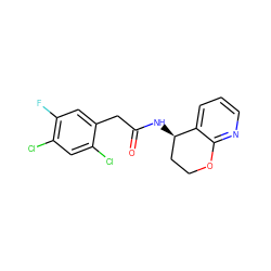 O=C(Cc1cc(F)c(Cl)cc1Cl)N[C@@H]1CCOc2ncccc21 ZINC000146604835