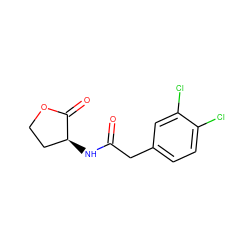 O=C(Cc1ccc(Cl)c(Cl)c1)N[C@H]1CCOC1=O ZINC000040380718