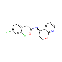 O=C(Cc1ccc(Cl)cc1Cl)N[C@@H]1CCOc2ncccc21 ZINC000146538172