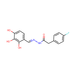 O=C(Cc1ccc(F)cc1)N/N=C/c1ccc(O)c(O)c1O ZINC001772617158