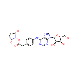 O=C(Cc1ccc(Nc2ncnc3c2ncn3[C@H]2O[C@H](CO)[C@@H](O)[C@H]2O)cc1)ON1C(=O)CCC1=O ZINC000049767103