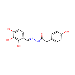 O=C(Cc1ccc(O)cc1)N/N=C/c1ccc(O)c(O)c1O ZINC001772581592