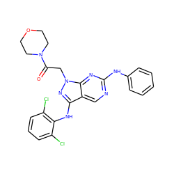 O=C(Cn1nc(Nc2c(Cl)cccc2Cl)c2cnc(Nc3ccccc3)nc21)N1CCOCC1 ZINC000042888834