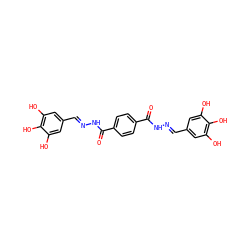 O=C(N/N=C/c1cc(O)c(O)c(O)c1)c1ccc(C(=O)N/N=C/c2cc(O)c(O)c(O)c2)cc1 ZINC000299825474