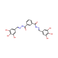 O=C(N/N=C/c1cc(O)c(O)c(O)c1)c1cccc(C(=O)N/N=C/c2cc(O)c(O)c(O)c2)c1 ZINC000299829061