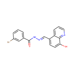 O=C(N/N=C/c1ccc(O)c2ncccc12)c1cccc(Br)c1 ZINC000001426549