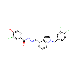 O=C(N/N=C/c1cccc2c1ccn2Cc1ccc(Cl)c(Cl)c1)c1ccc(O)c(Cl)c1 ZINC000013492730