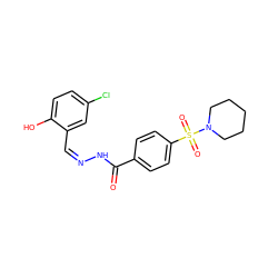 O=C(N/N=C\c1cc(Cl)ccc1O)c1ccc(S(=O)(=O)N2CCCCC2)cc1 ZINC000032666312