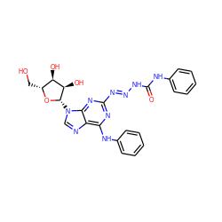 O=C(N/N=N/c1nc(Nc2ccccc2)c2ncn([C@@H]3O[C@H](CO)[C@@H](O)[C@H]3O)c2n1)Nc1ccccc1 ZINC000048999807