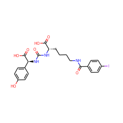 O=C(N[C@@H](CCCCNC(=O)c1ccc(I)cc1)C(=O)O)N[C@H](C(=O)O)c1ccc(O)cc1 ZINC000049756986