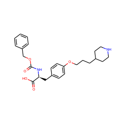 O=C(N[C@@H](Cc1ccc(OCCCC2CCNCC2)cc1)C(=O)O)OCc1ccccc1 ZINC000013738110