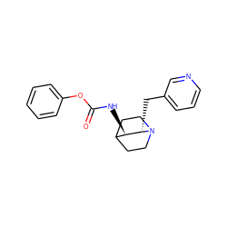 O=C(N[C@@H]1C2CCN(CC2)[C@H]1Cc1cccnc1)Oc1ccccc1 ZINC000064549134