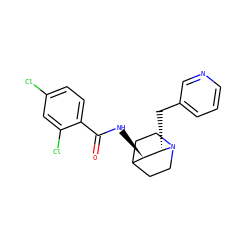 O=C(N[C@@H]1C2CCN(CC2)[C@H]1Cc1cccnc1)c1ccc(Cl)cc1Cl ZINC000095571817