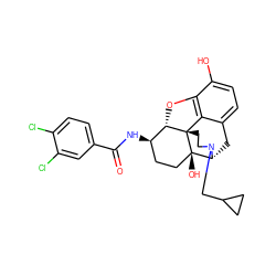 O=C(N[C@@H]1CC[C@@]2(O)[C@H]3Cc4ccc(O)c5c4[C@@]2(CCN3CC2CC2)[C@H]1O5)c1ccc(Cl)c(Cl)c1 ZINC000029133714