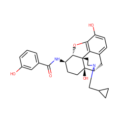 O=C(N[C@@H]1CC[C@@]2(O)[C@H]3Cc4ccc(O)c5c4[C@@]2(CCN3CC2CC2)[C@H]1O5)c1cccc(O)c1 ZINC000029133664