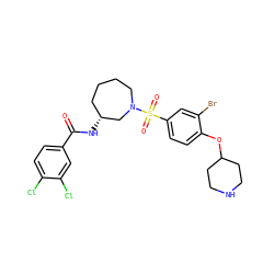 O=C(N[C@@H]1CCCCN(S(=O)(=O)c2ccc(OC3CCNCC3)c(Br)c2)C1)c1ccc(Cl)c(Cl)c1 ZINC000042888109