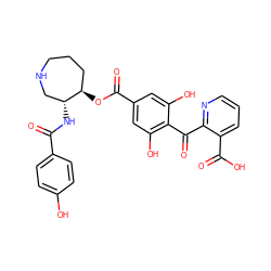 O=C(N[C@@H]1CNCCC[C@H]1OC(=O)c1cc(O)c(C(=O)c2ncccc2C(=O)O)c(O)c1)c1ccc(O)cc1 ZINC000014944114