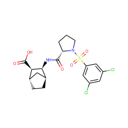 O=C(N[C@H]1[C@H]2CC[C@@H](C2)[C@H]1C(=O)O)[C@@H]1CCCN1S(=O)(=O)c1cc(Cl)cc(Cl)c1 ZINC000169294658