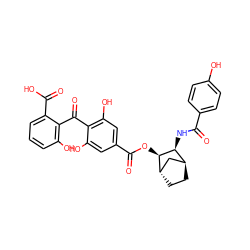 O=C(N[C@H]1[C@H]2CC[C@@H](C2)[C@H]1OC(=O)c1cc(O)c(C(=O)c2c(O)cccc2C(=O)O)c(O)c1)c1ccc(O)cc1 ZINC000100367619