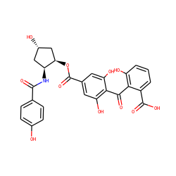 O=C(N[C@H]1C[C@H](O)C[C@H]1OC(=O)c1cc(O)c(C(=O)c2c(O)cccc2C(=O)O)c(O)c1)c1ccc(O)cc1 ZINC000026248454