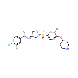 O=C(N[C@H]1CCN(S(=O)(=O)c2ccc(OC3CCNCC3)c(Br)c2)C1)c1ccc(Cl)c(Cl)c1 ZINC000042876280