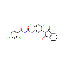 O=C(NC(=O)c1ccc(Cl)cc1Cl)Nc1cc(N2C(=O)C3=C(CCCC3)C2=O)c(F)cc1Cl ZINC000045290075