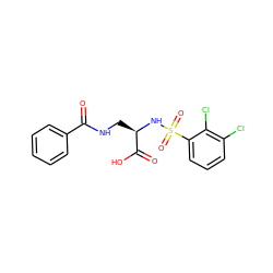 O=C(NC[C@@H](NS(=O)(=O)c1cccc(Cl)c1Cl)C(=O)O)c1ccccc1 ZINC000043018545