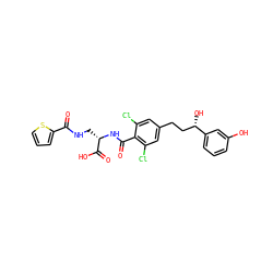 O=C(NC[C@H](NC(=O)c1c(Cl)cc(CC[C@H](O)c2cccc(O)c2)cc1Cl)C(=O)O)c1cccs1 ZINC000058584068