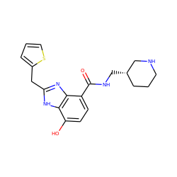 O=C(NC[C@H]1CCCNC1)c1ccc(O)c2[nH]c(Cc3cccs3)nc12 ZINC000118668343