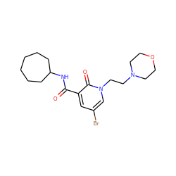 O=C(NC1CCCCCC1)c1cc(Br)cn(CCN2CCOCC2)c1=O ZINC000103263598