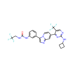 O=C(NCC(F)(F)F)Nc1cccc(-c2cnc3cc(-c4nc(NC5CCC5)ncc4C(F)(F)F)ccn23)c1 ZINC000139647931