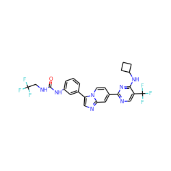 O=C(NCC(F)(F)F)Nc1cccc(-c2cnc3cc(-c4ncc(C(F)(F)F)c(NC5CCC5)n4)ccn23)c1 ZINC000169704656