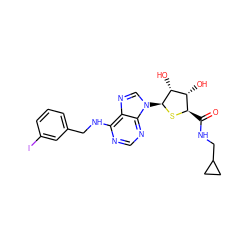 O=C(NCC1CC1)[C@H]1S[C@@H](n2cnc3c(NCc4cccc(I)c4)ncnc32)[C@H](O)[C@@H]1O ZINC000049766559