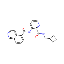 O=C(NCC1CCC1)c1ncccc1NC(=O)c1cccc2cnccc12 ZINC000035942333