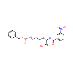 O=C(NCCCC[C@H](NC(=O)c1cccc([N+](=O)[O-])c1)C(=O)O)OCc1ccccc1 ZINC000040940192