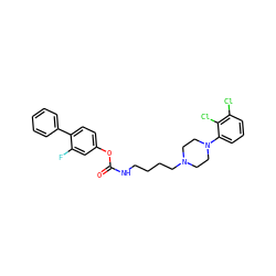 O=C(NCCCCN1CCN(c2cccc(Cl)c2Cl)CC1)Oc1ccc(-c2ccccc2)c(F)c1 ZINC001772578073