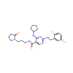 O=C(NCCCN1CCCC1=O)c1cnc(NCc2cc(Cl)ccc2Cl)nc1NC1CCCC1 ZINC000095593995