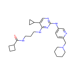 O=C(NCCCNc1nc(Nc2ccc(CN3CCCCC3)nc2)ncc1C1CC1)C1CCC1 ZINC000095563383