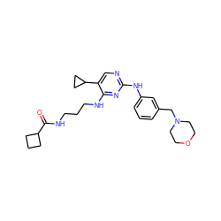 O=C(NCCCNc1nc(Nc2cccc(CN3CCOCC3)c2)ncc1C1CC1)C1CCC1 ZINC000095641943