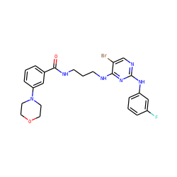 O=C(NCCCNc1nc(Nc2cccc(F)c2)ncc1Br)c1cccc(N2CCOCC2)c1 ZINC000095561391