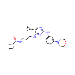 O=C(NCCCNc1nc(Nc2cccc(N3CCOCC3)c2)ncc1C1CC1)C1CCC1 ZINC000095562978