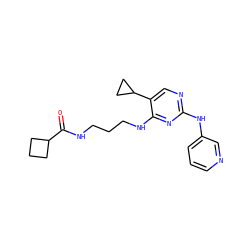 O=C(NCCCNc1nc(Nc2cccnc2)ncc1C1CC1)C1CCC1 ZINC000095558966