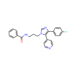 O=C(NCCCn1cnc(-c2ccc(F)cc2)c1-c1ccncc1)c1ccccc1 ZINC000028528239