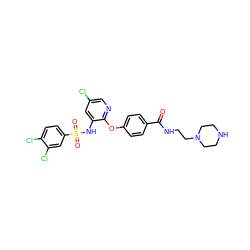 O=C(NCCN1CCNCC1)c1ccc(Oc2ncc(Cl)cc2NS(=O)(=O)c2ccc(Cl)c(Cl)c2)cc1 ZINC000073195605