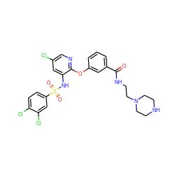 O=C(NCCN1CCNCC1)c1cccc(Oc2ncc(Cl)cc2NS(=O)(=O)c2ccc(Cl)c(Cl)c2)c1 ZINC000073168068