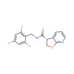 O=C(NCc1c(Cl)cc(Cl)cc1Cl)[C@H]1COc2ncccc21 ZINC000224618057