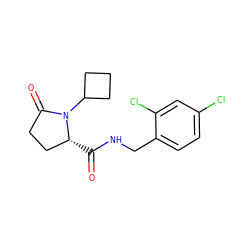 O=C(NCc1ccc(Cl)cc1Cl)[C@@H]1CCC(=O)N1C1CCC1 ZINC000095565215