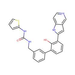 O=C(NCc1cccc(-c2cccc(-c3cc4cnccc4[nH]3)c2O)c1)Nc1cccs1 ZINC000101041101