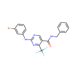 O=C(NCc1ccccc1)c1cnc(Nc2cccc(Br)c2)nc1C(F)(F)F ZINC000028645286